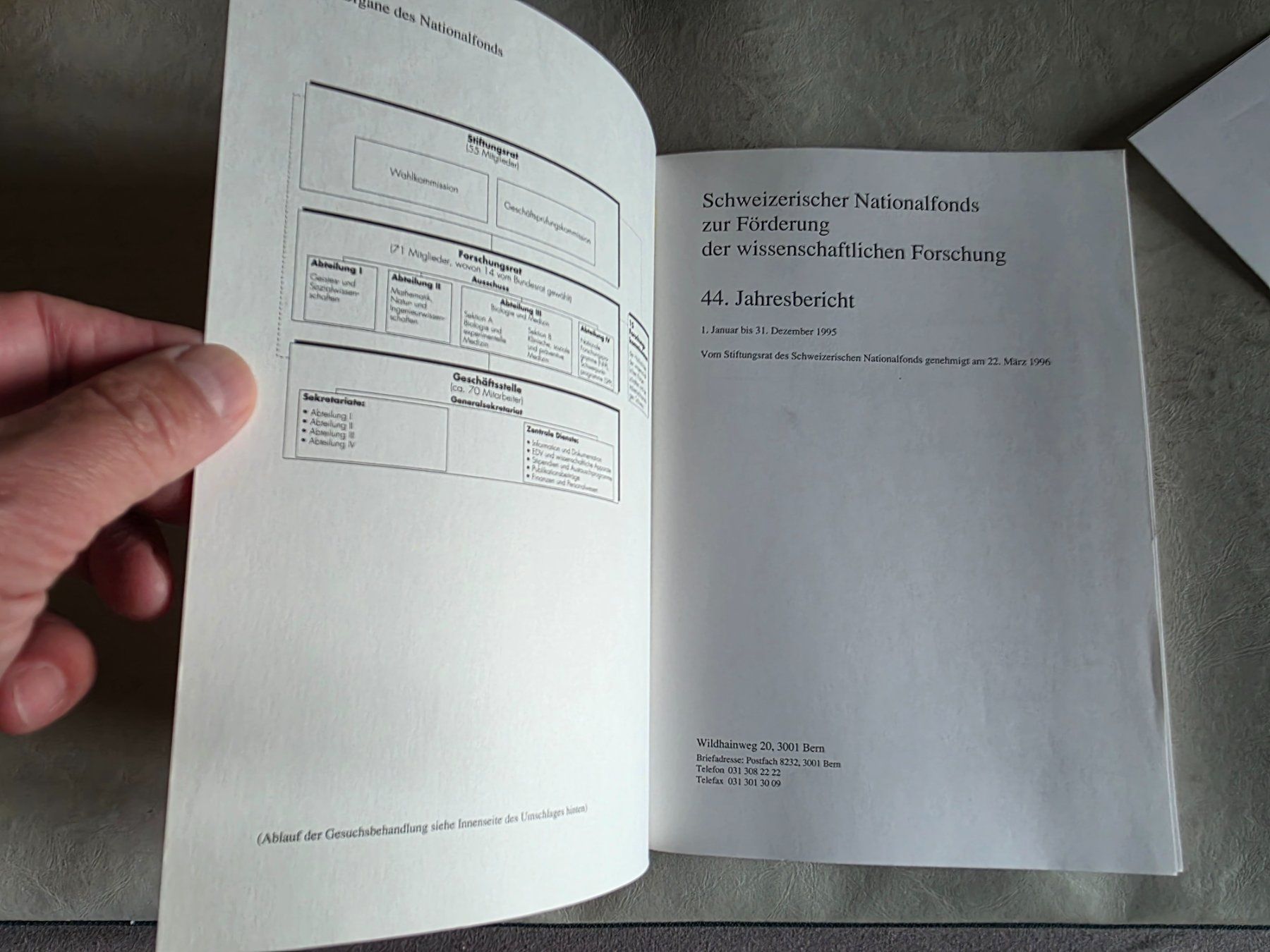 Libri: Schweizerischer Nationalfonds Jahresbericht 1995 – Usato da Walterswil BE venduto da Lonitti 5