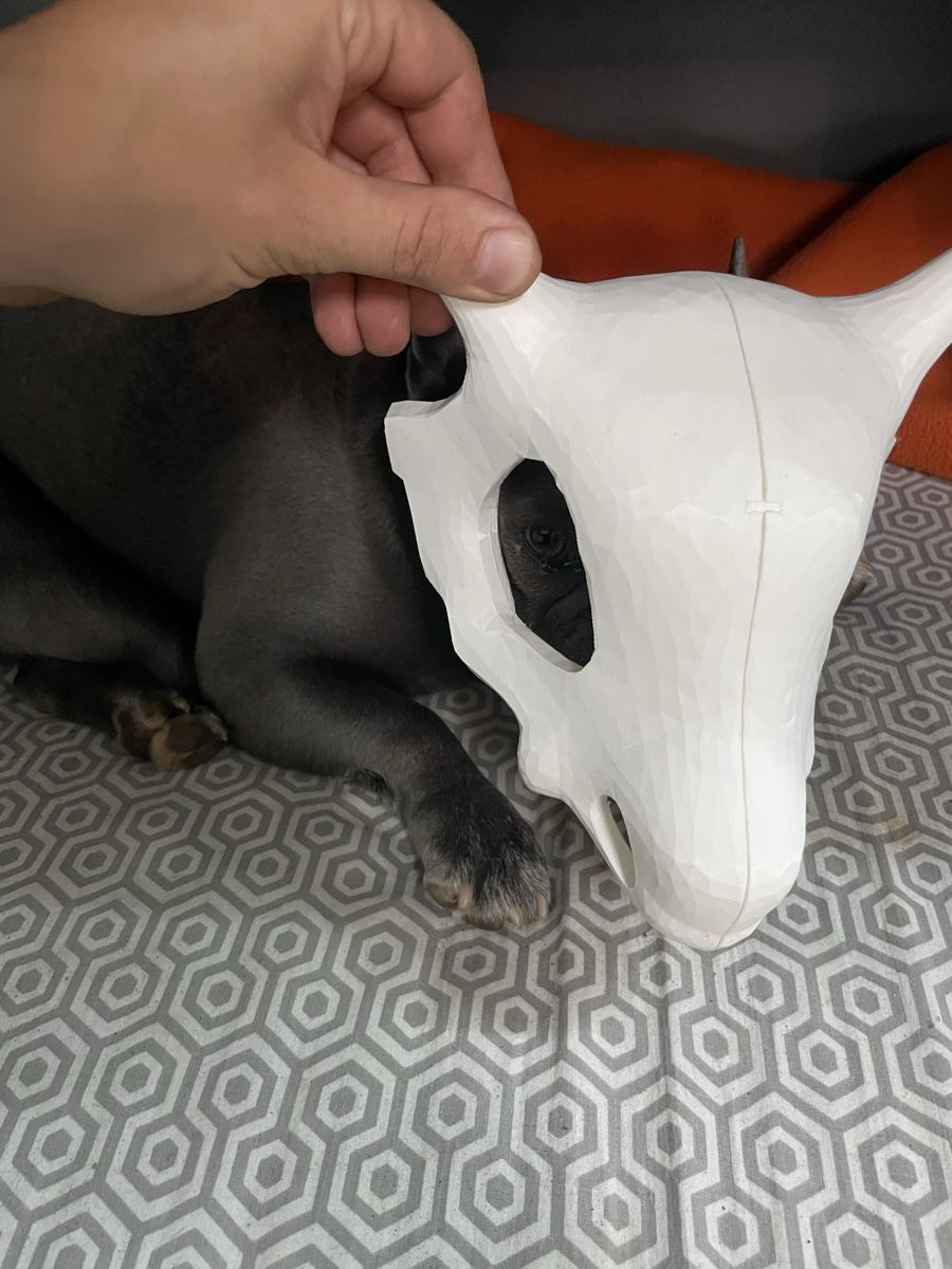 Masken: Pokemon Tragosso Maske – Gebraucht aus Sirnach von MotionModular 3