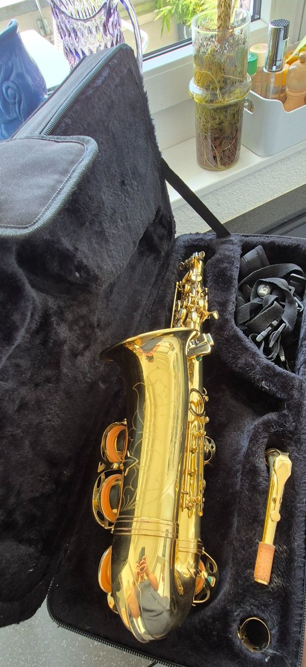 Strumenti musicali: Alt Saxophon Evette – Usato da Bern venduto da MiroWitzig 1
