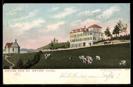 AK St. Anton, Ortspartie mit Kühen