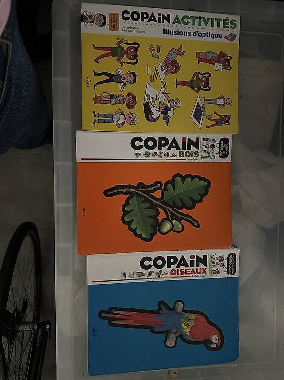 Libri: 3 livres copain  – Usato da Genève venduto da ger_7jy8