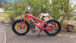 Scott condessa 16'