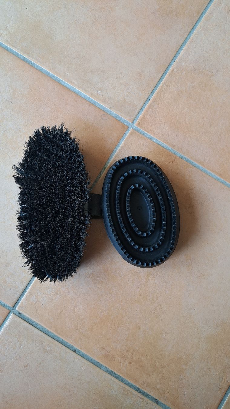 Altro per la casa: Pferdebürsten Set - Striegel und Kardätsche – Usato da Riehen venduto da Chimpara 1
