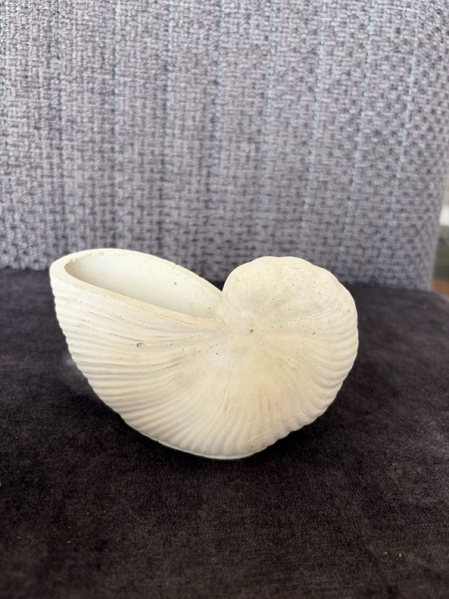 Tutte le decorazioni: Betonvase Muschel Form hellgrau  – Usato da Opfershofen TG venduto da dan_nxk8