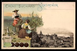 Lausanne, Teilansicht der Stadt, Trauben