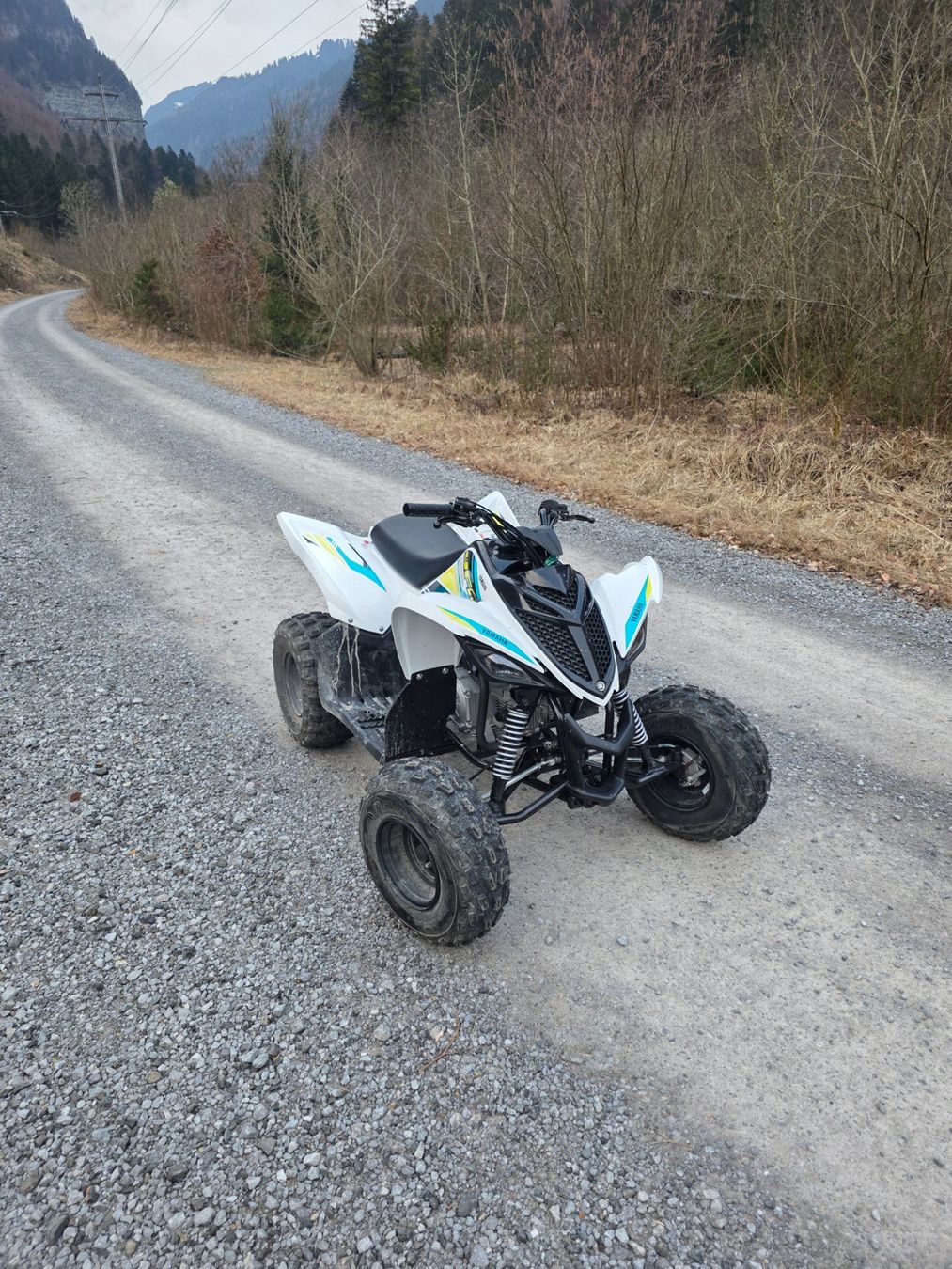 Mini Quad: Yamaha raptor 90 – Usato da Interlaken venduto da DJSasa