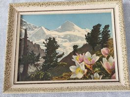 Alpenblumen am Berg! Nostalgisches Bild mit Rahmen!