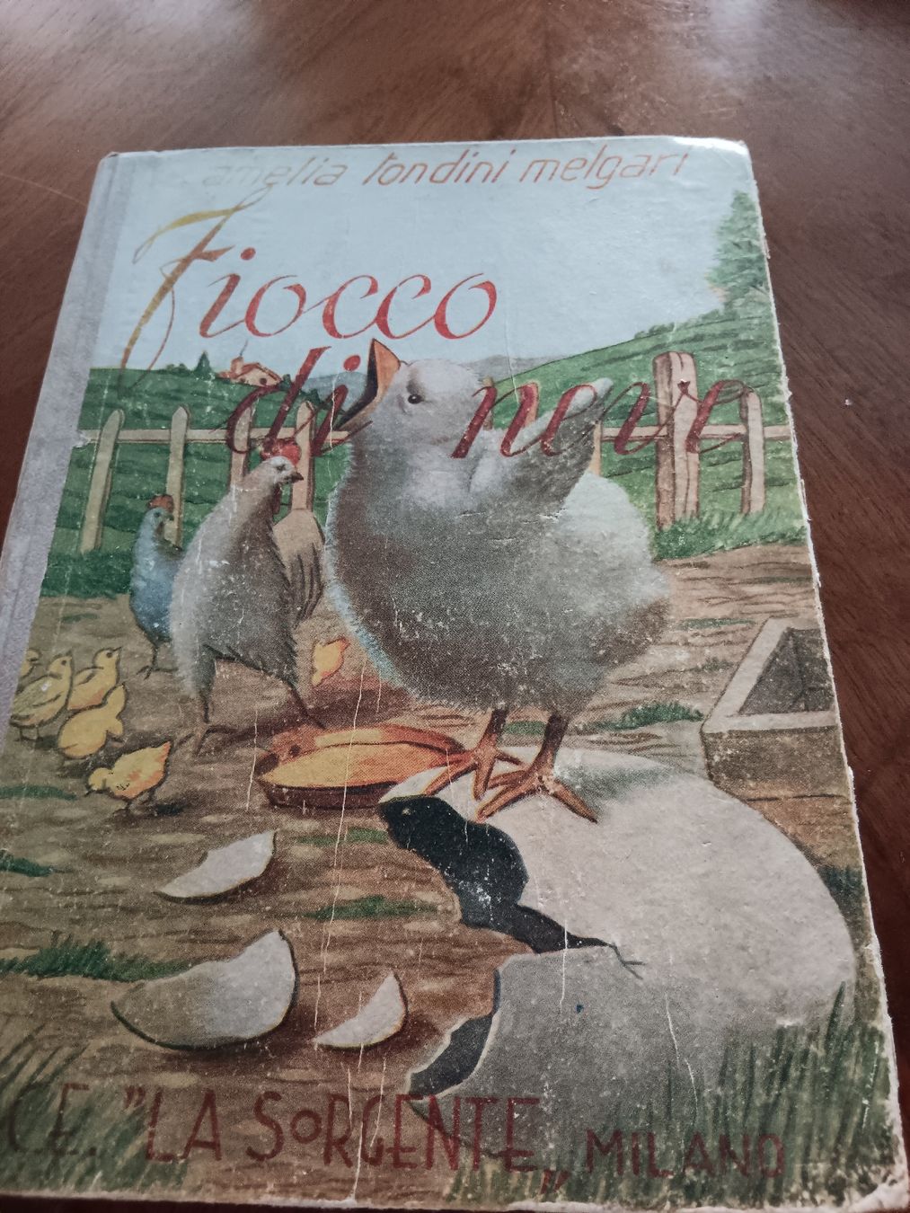 Bücher: altes Kinder Buch – Gebraucht aus Ambrì von Maerz87