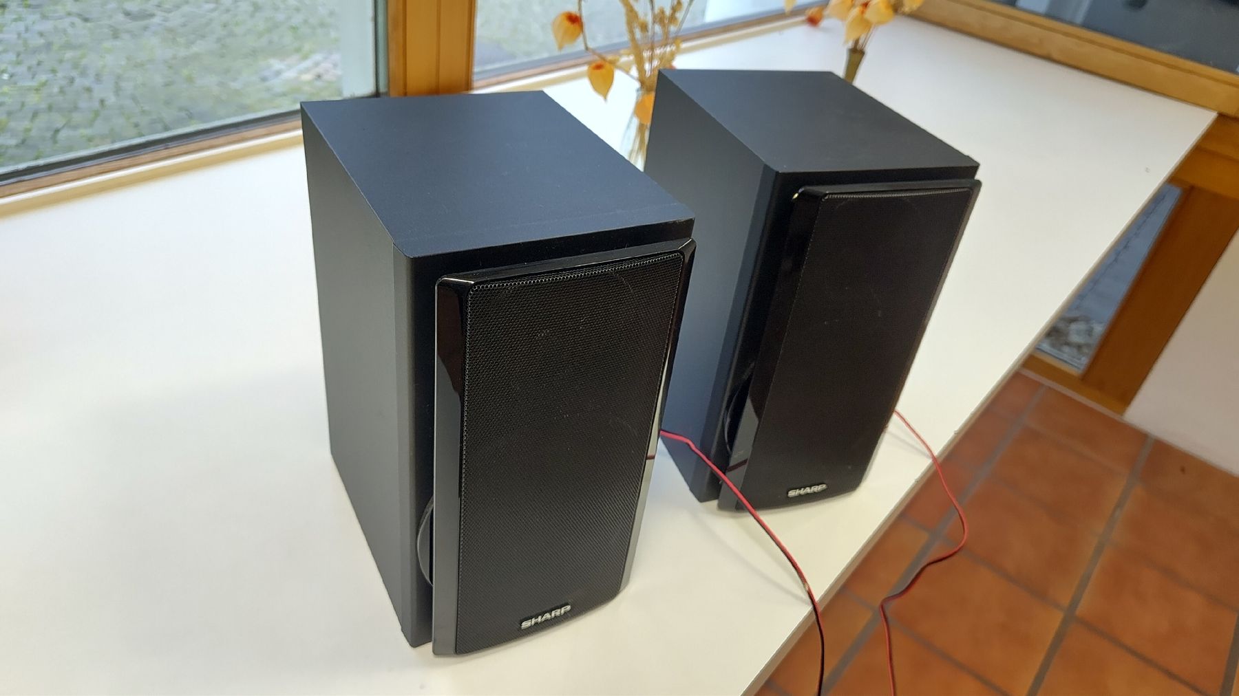 Sharp Casse acustiche: Lautsprecher – Usato da Zell LU venduto da gas_q8gc