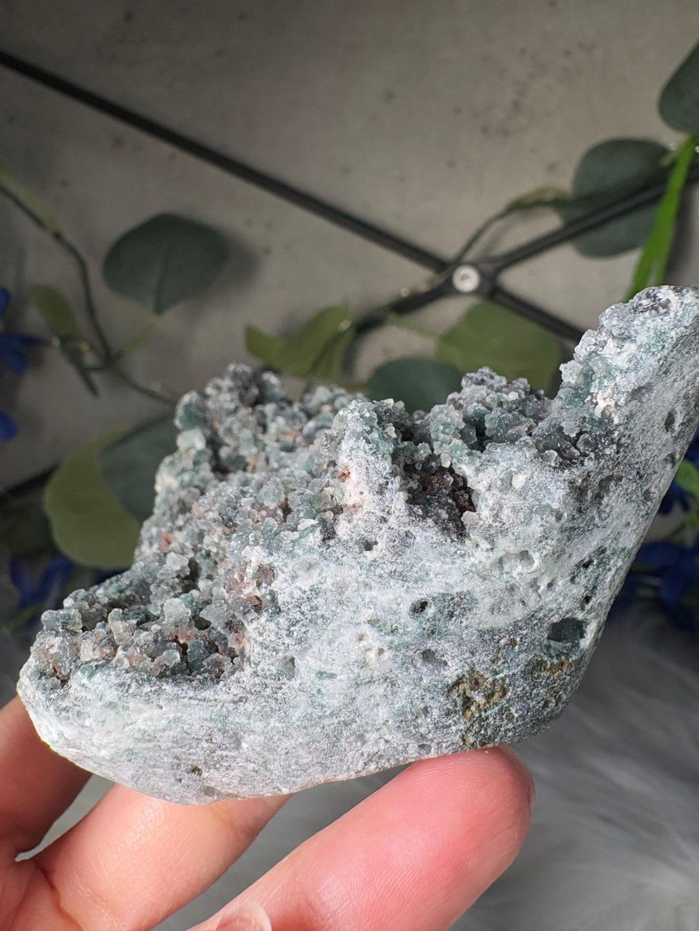 Minerali & Pietre curative: Grüner Chalcedon-Stalaktit – Nuovo (secondo la descrizione) da Neuheim venduto da m.hald 9