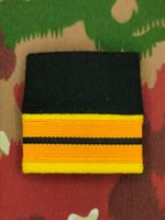 Schulterpatte Ord. 1949 Oberstleutnant, aus MLT