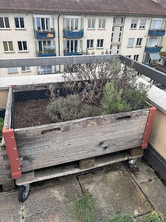 Vasi per fiori: Hochbeet (Mit Rollen) – Usato da Bern venduto da simi_imis