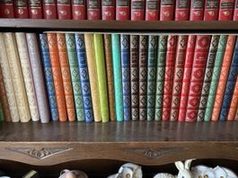 Buchset mit 32 Teilen verschiedene Farben guter Zustand