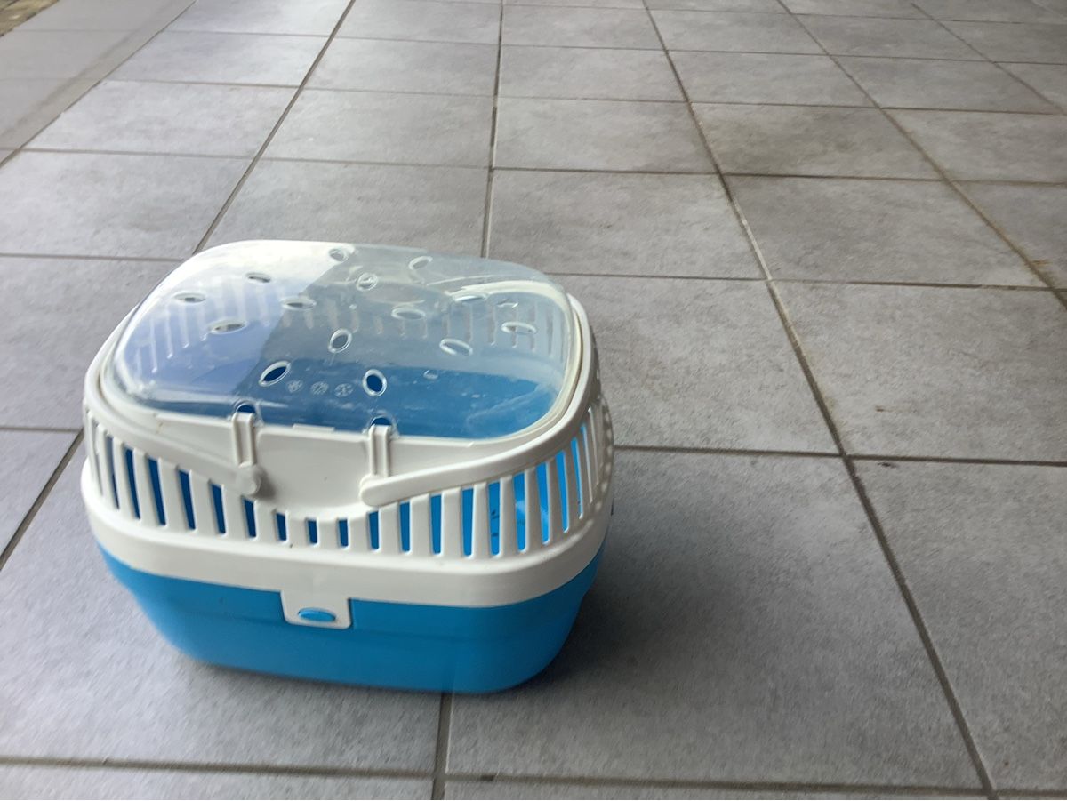 Ferplast Cucce & Letti: Kleintier-Transportbox – Usato da Frauenfeld venduto da sonnenjo 3