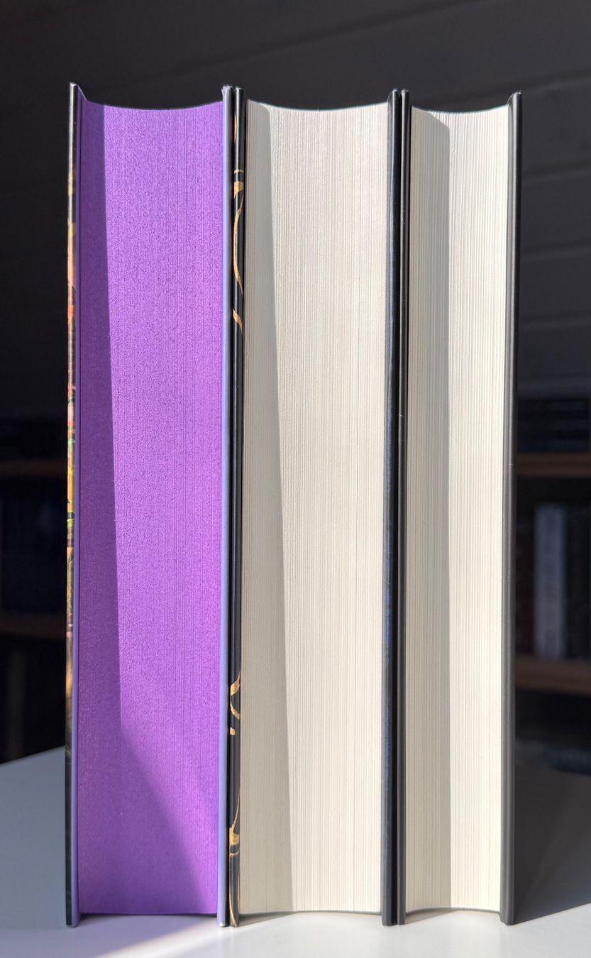 Livres: Bücherset 3 Fantasy Romane – D'occasion à Eichberg par Lolapop18 2