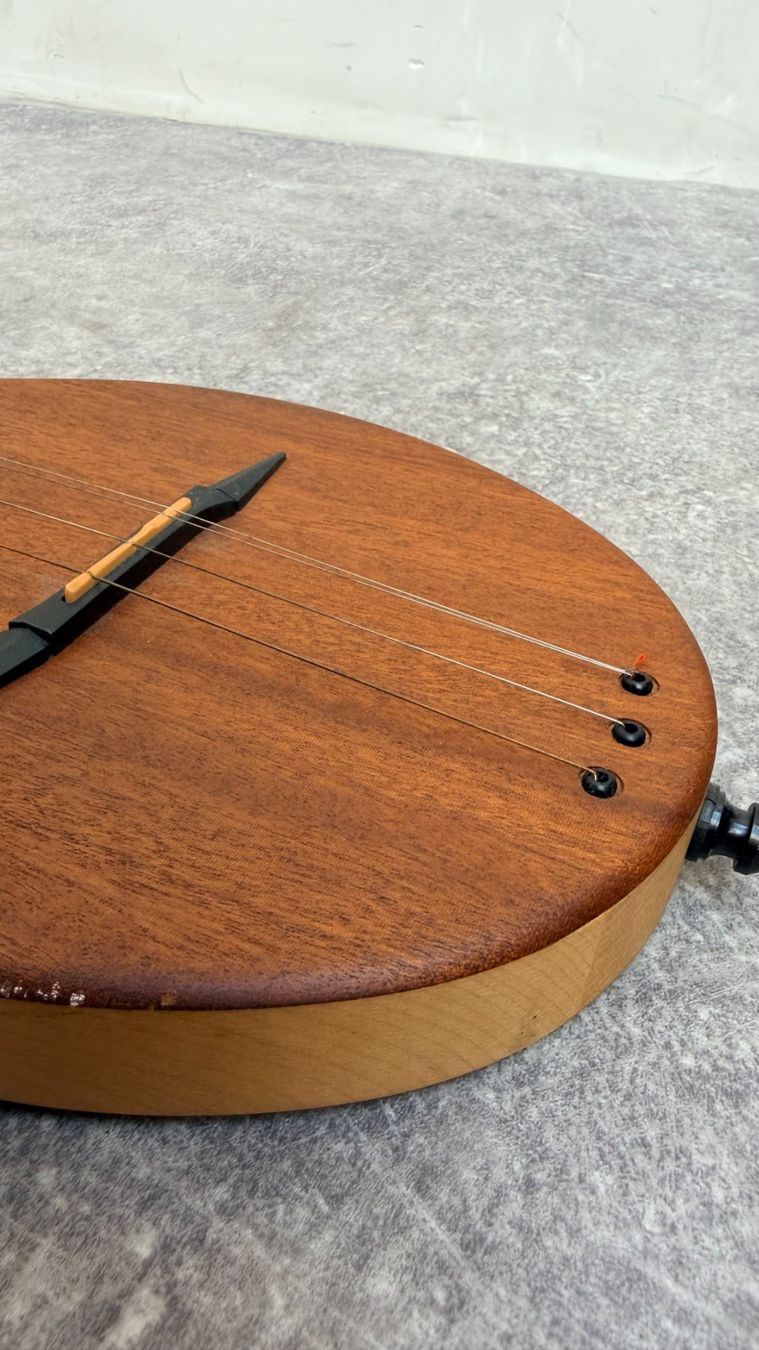 Instruments de musique: Seagull M4 Merlin Mahogany – D'occasion à Bulle par ABELiAM 4