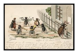 INSECTES MUSICIENS - 1899 "Gebr. Metz Bâle" N°288