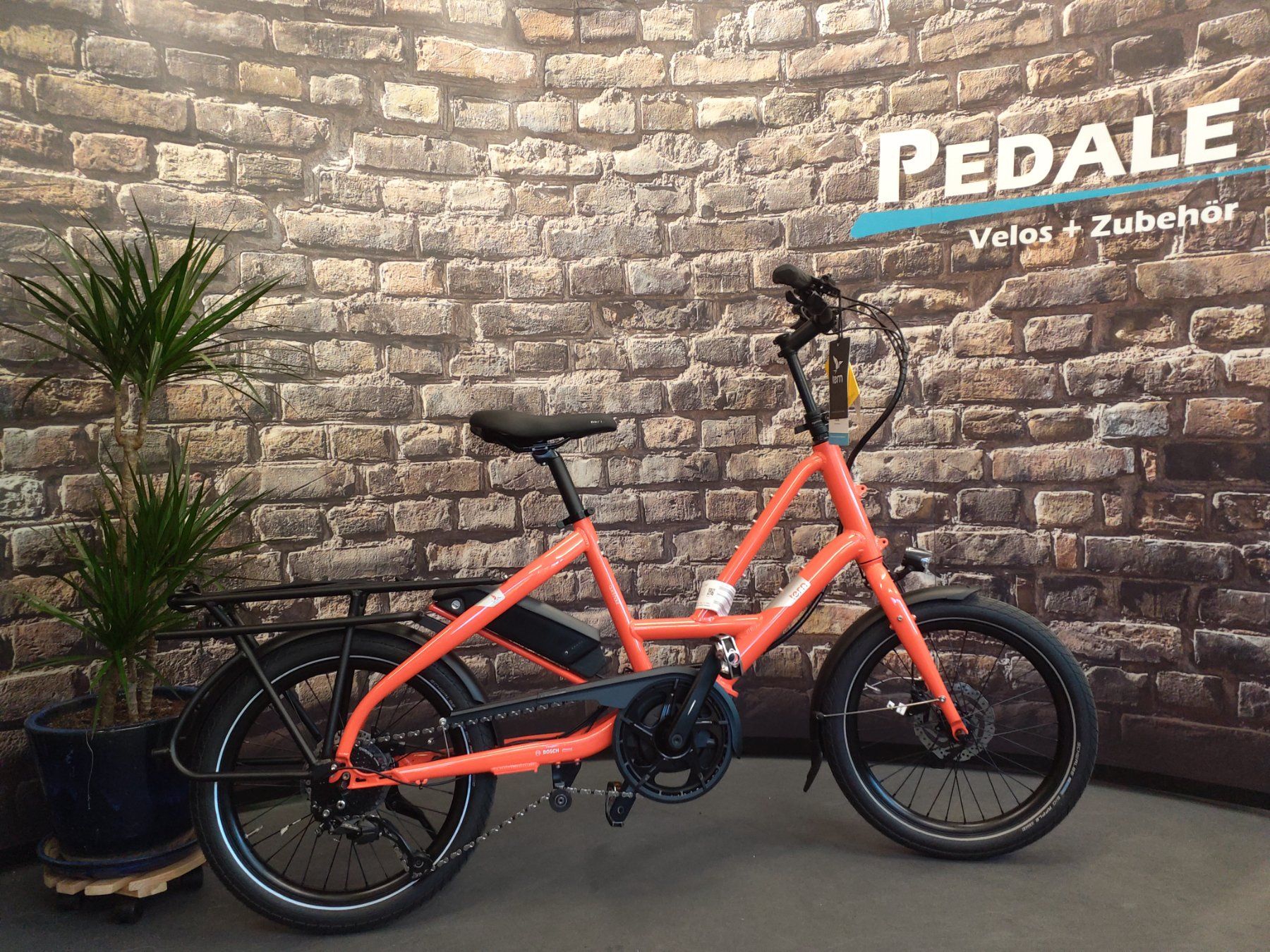 Biciclette: TERN Quick Haul P9 Performance – Nuovo (secondo la descrizione) da Löhningen venduto da inf_fb2h