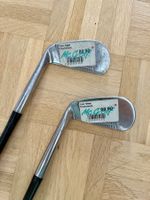 Antiker Eisen Golfschläger