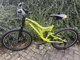Mountainbike Phoenix Design Pro gelb gefedert