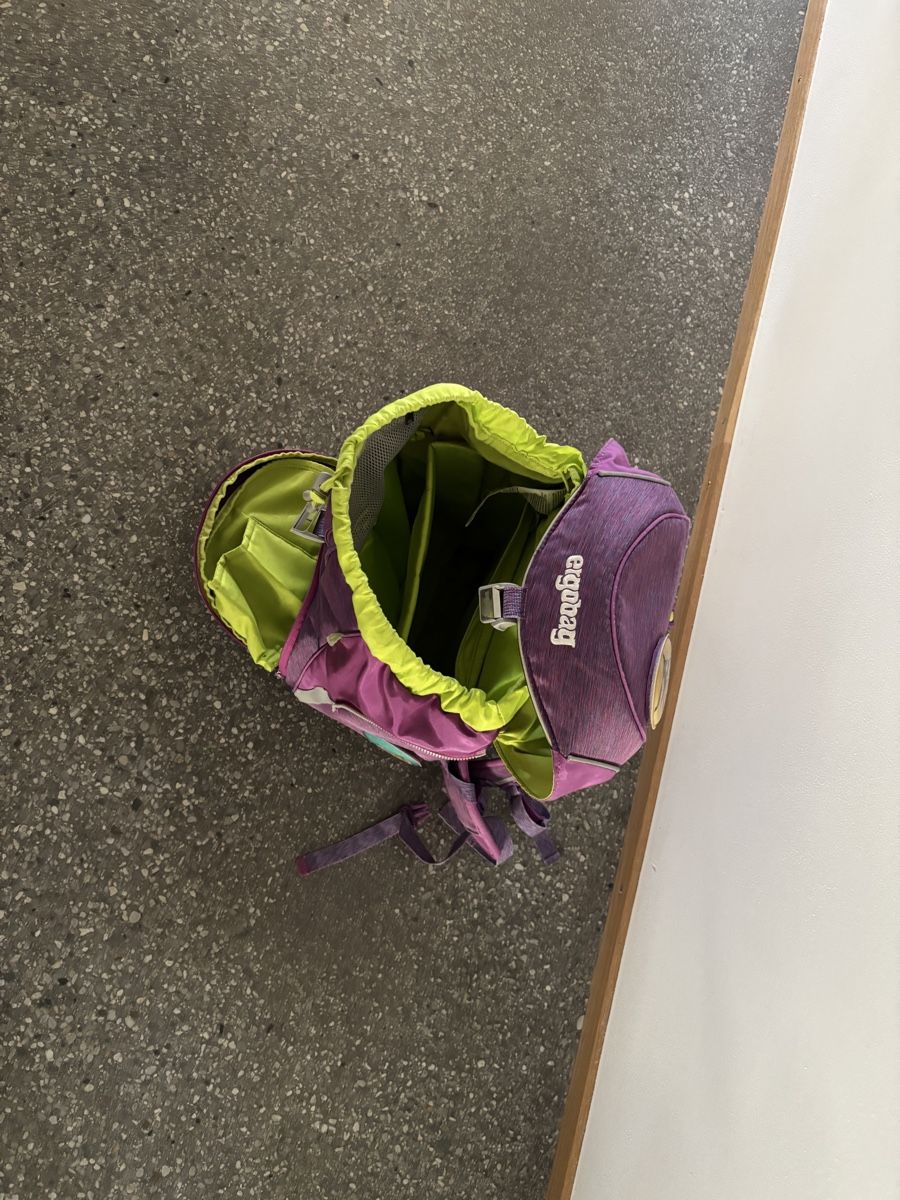 Ergobag Borse & Zaini: Ergobag Schulrucksack – Usato da Chur venduto da vespa-66 4