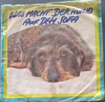 Vinyl Single Nighttrain - was macht der Hund auf dem Sofa