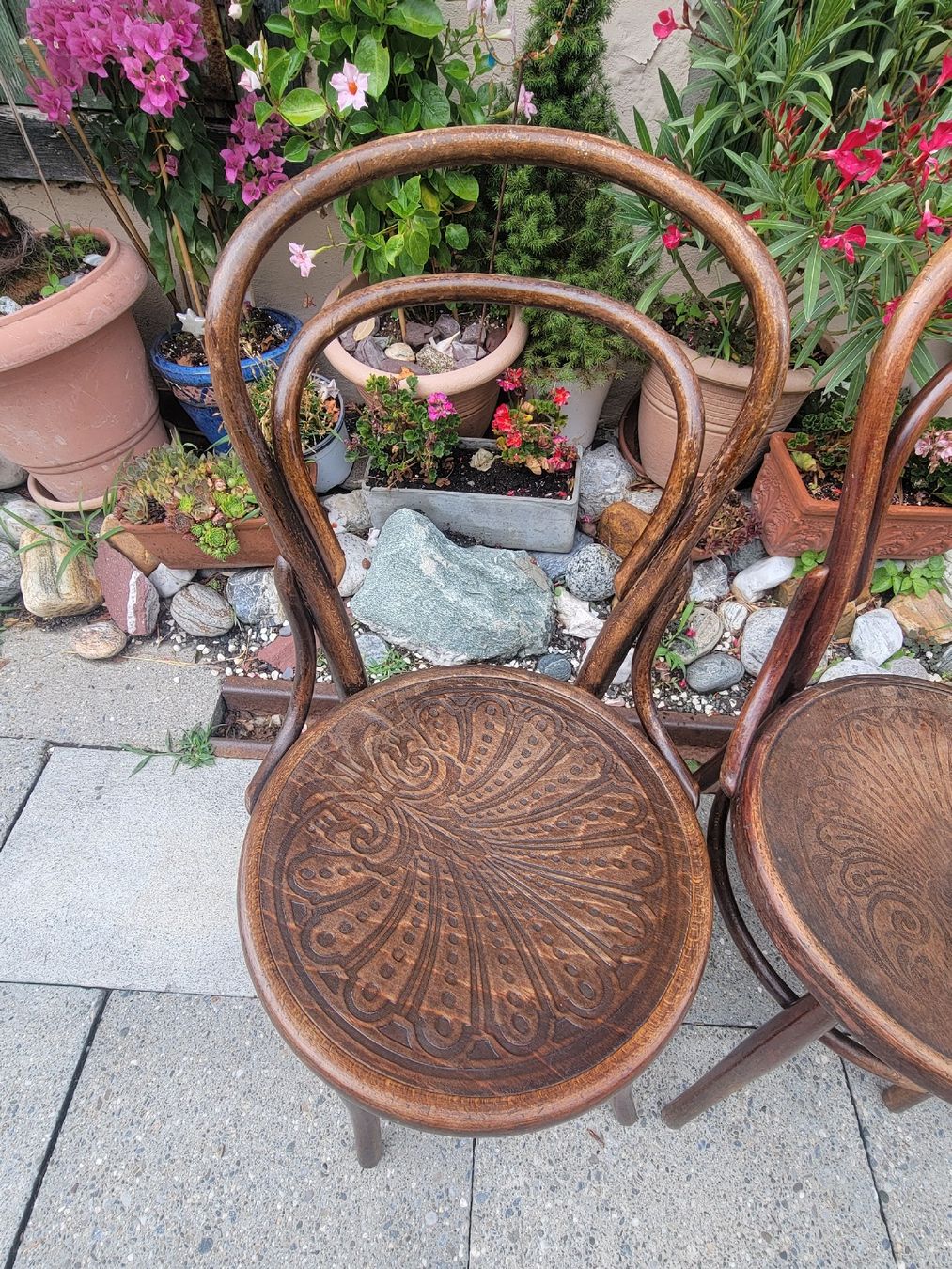 Chaises: 4 Bugholzstühle antik – D'occasion à Sils im Domleschg par platin01 6