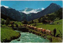 Adelboden - Wildstrubel mit Alpabfahrt