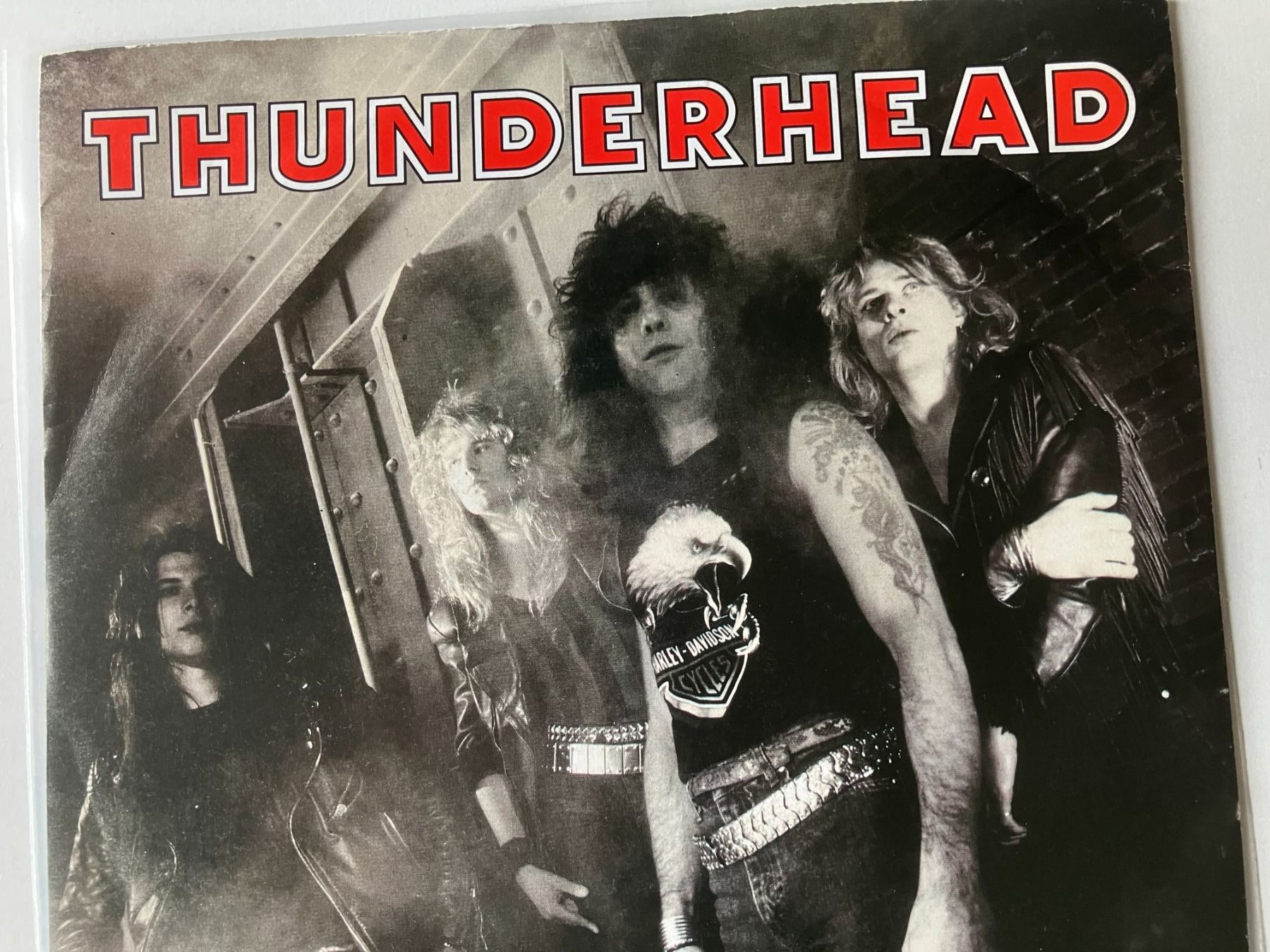 Dischi in vinile: Thunderhead – Usato da Aarwangen venduto da Jukebox3 1