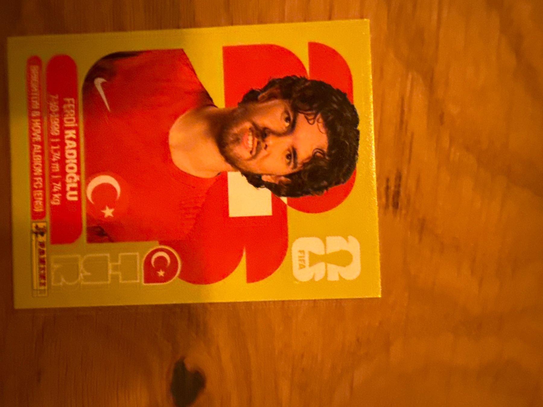 Panini Carte collezionabili: Panini – Usato da Langnau i. E. venduto da Acrjl