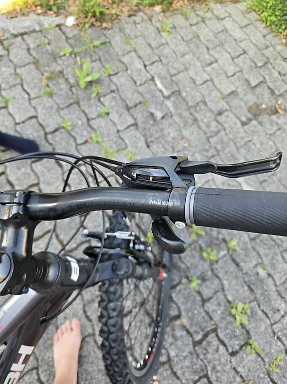 Velos: Velo 26zoll BH anthrazit – Gebraucht aus Buttikon SZ von ott_9msw 1