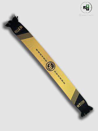 BSC YB YOUNG BOYS BERN 2018 MEISTER SCHAL