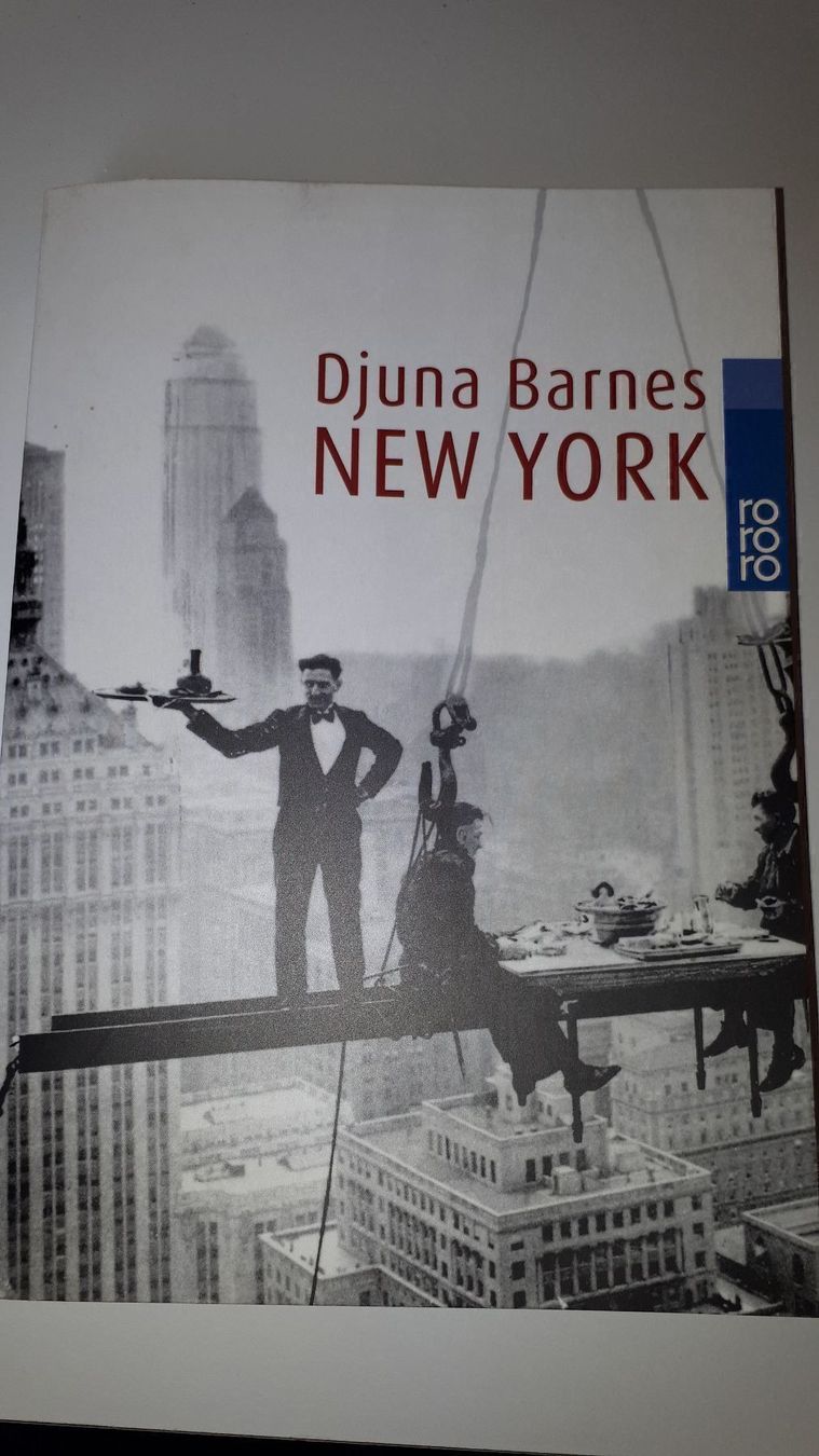 Libri: Dunja Barnes: New York – Usato da Dietikon venduto da Buchantiqdietikon