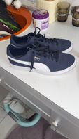 Puma zu verkaufen 