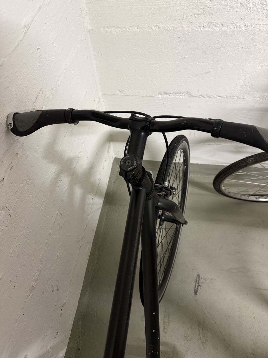 Biciclette: City Bicycle Black Frame Single Speed – Usato da Zürich venduto da pie_vn8q 3