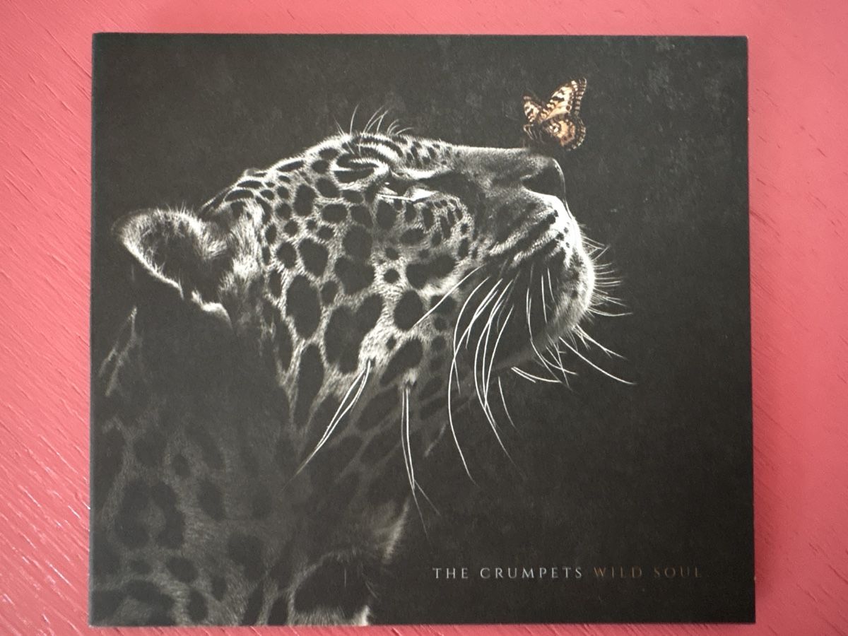 CDs: The Crumpets - Wild Soul – D'occasion à Lützelflüh-Goldbach par Deiv4
