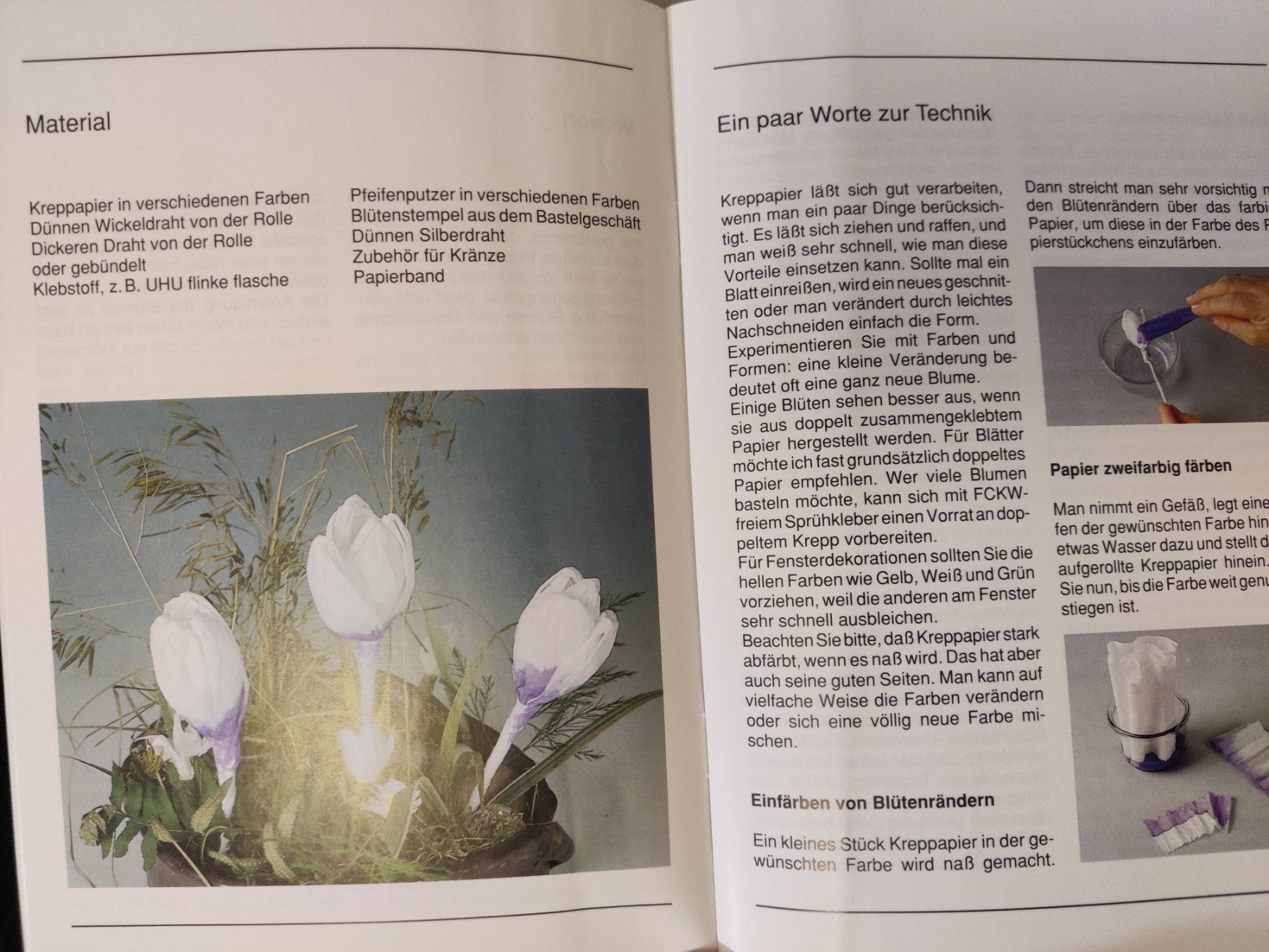 Libri: * Papierblumen aus Krepp / Topp 1992 - Inge Walter – Usato da Muttenz venduto da Negnuja 1