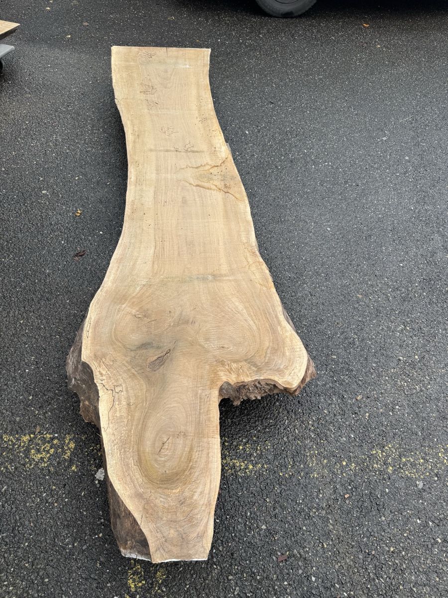 Articoli in legno: Nussbaum Klotzbrett 280  cm lang! – Usato da Gränichen venduto da onkel_xxl 2