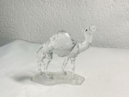 Swarovski, Crystal figurine de dromadaire 