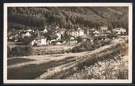 Vicosoprano, Blick über Wiesen auf den 
