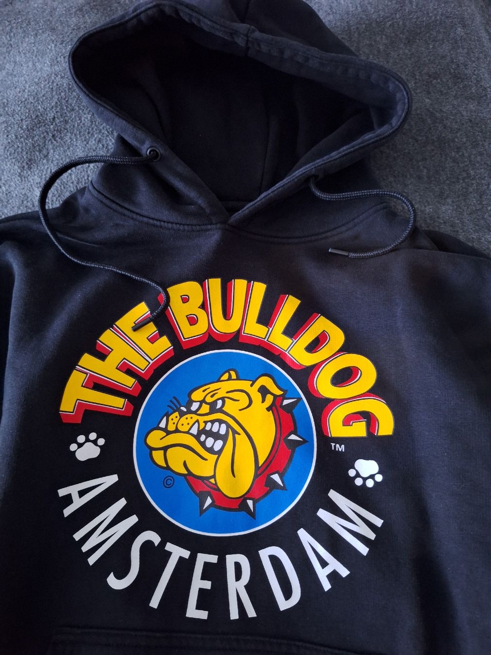 Maglioni & Felpe: Hoody – Usato da Mumpf venduto da SwissDi 1