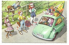 Katzenkarte - Serie Belgien - Ferien-Ausflug mit Auto - 1964