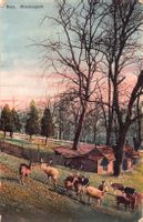 4x Gruss aus BERN - Alpines Museum, Uni, etc.