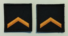 Grades de poitrine