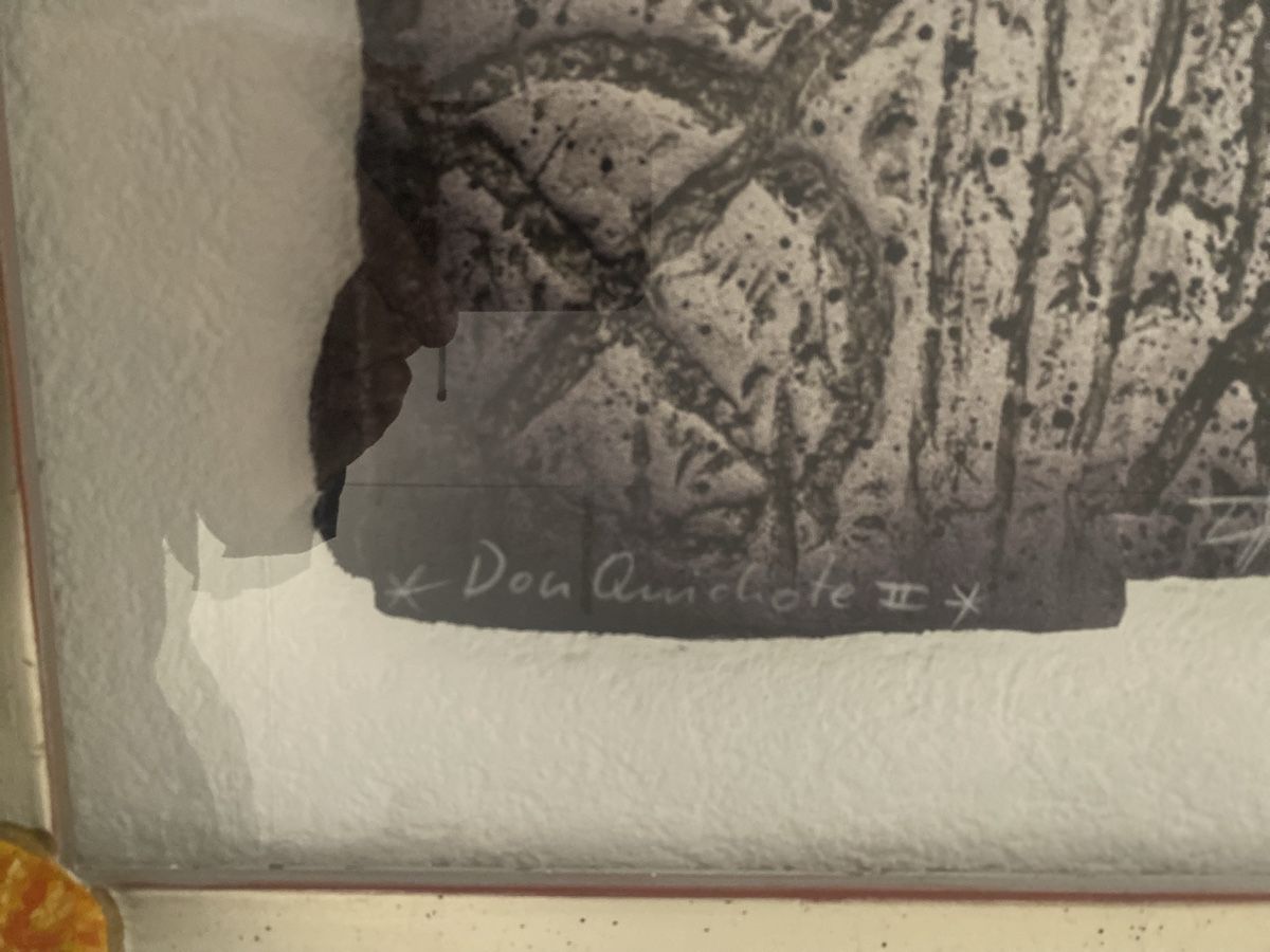Gemälde: Don Quichote 2 Bilder Signiert 60:75 cm – Gebraucht aus Ballwil von lukyluciano21 3