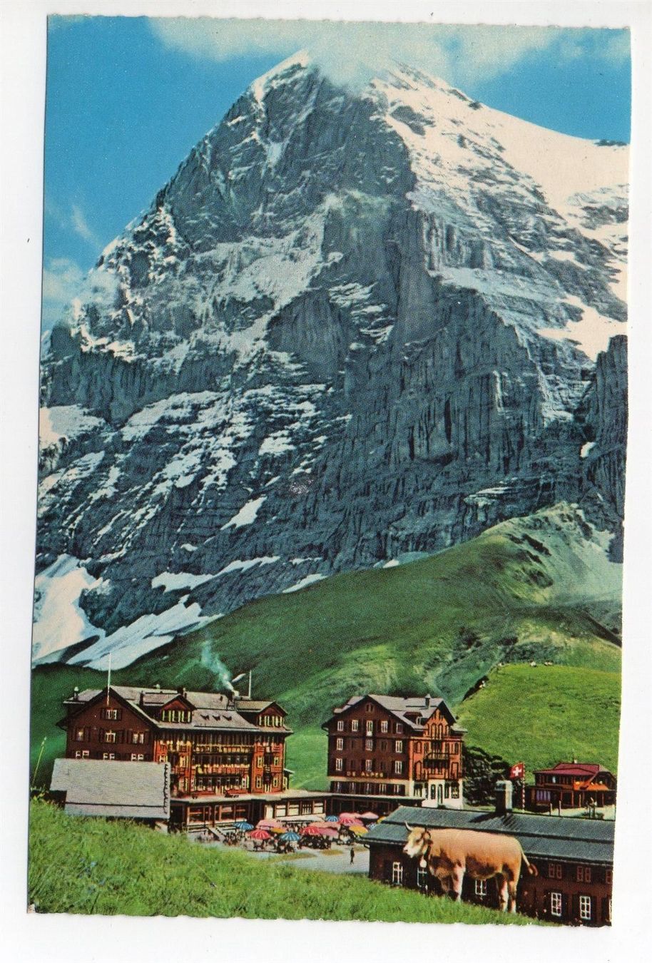 Cartes postales: GRINDELWALD Kleine Scheidegg, Kuh – D'occasion à Jona par philajona