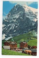 GRINDELWALD Kleine Scheidegg, Kuh