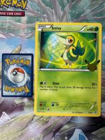 Pokémon TCG – Snivy UNOVA First Partner Jumbo / Oversize