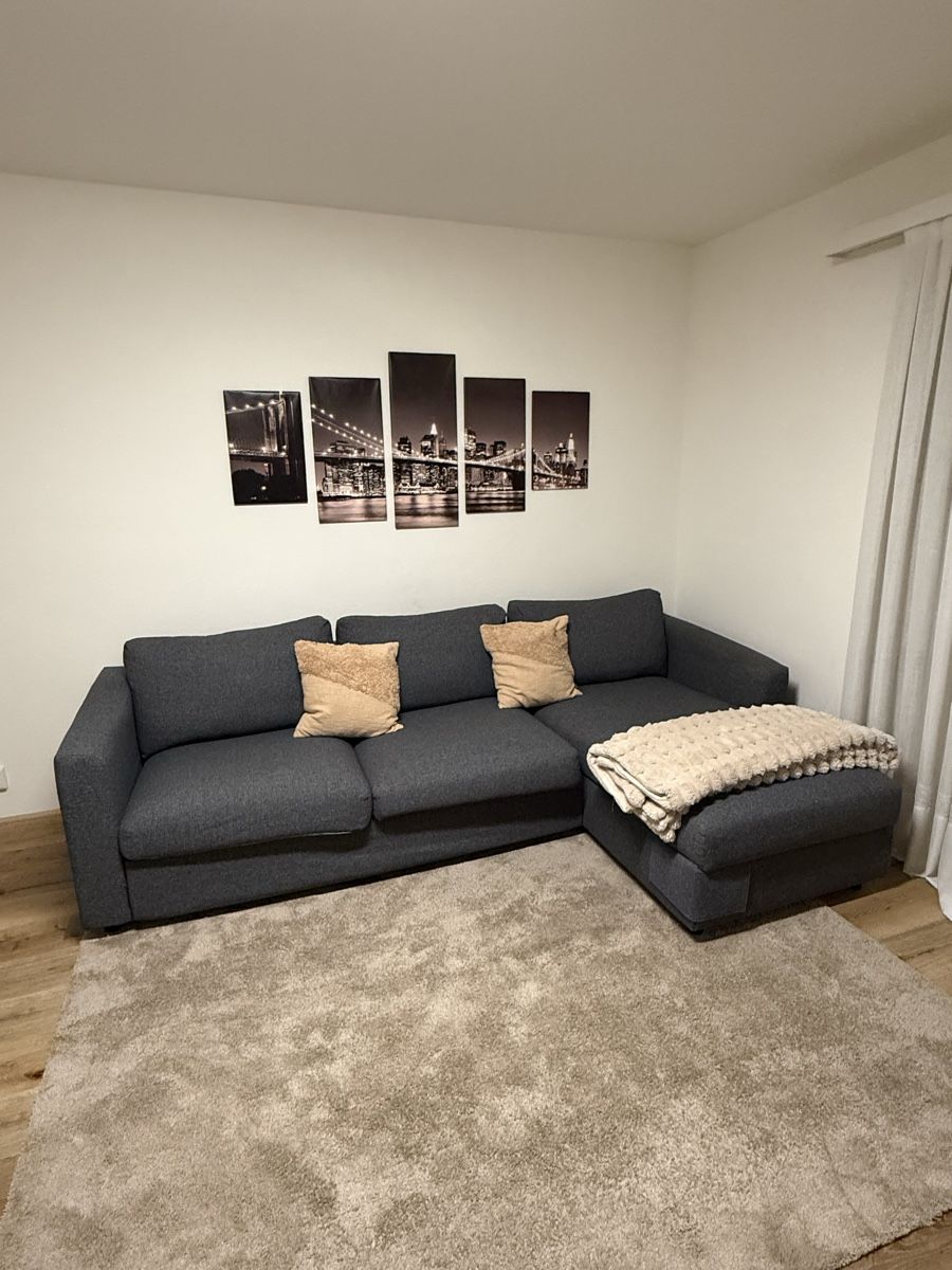 Ikea Divani: Grey Sleeper Sofa with Chaise Lounge - Like New! – Usato da Basel venduto da raf_28z2 4