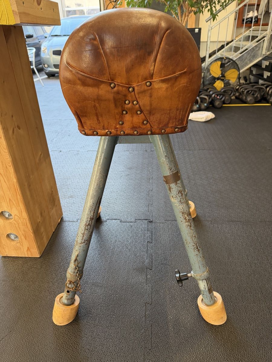 Hocker: Springpferd/ Pommel Horse – Gebraucht aus Wöschnau von Nicaj 2